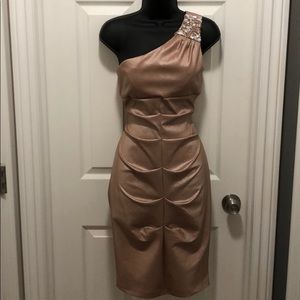Cache Pink Gemstone One Shoulder Dress
